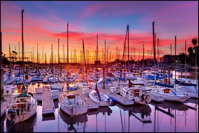 Marina Del Rey'S Grand 2/2 Suite Pool View لوس أنجلوس المظهر الخارجي الصورة